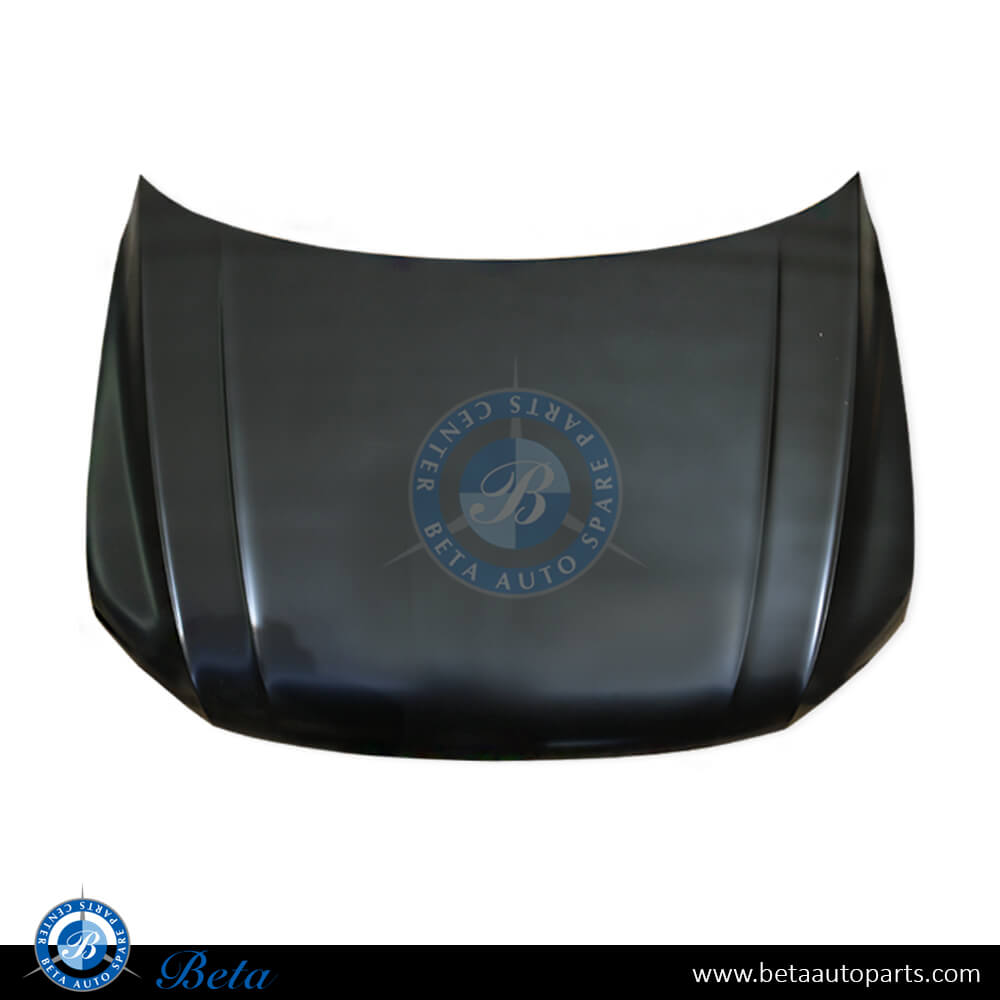 Hood for Volkswagen Tiguan 2017-Up models, Part Number 5NA823031C Hood for Volkswagen Tiguan 2017-Up models, Part Number 5NA823031C